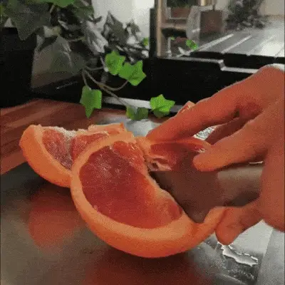 Healthy family meal prep scene